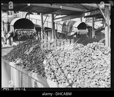 Eisenbahnwaggon an Zechen geladen wird. Diese Mine wurde 1943 eröffnet. Pyramide Coal Company, Sieg Mine, Terre Haute... 540349 Stockfoto