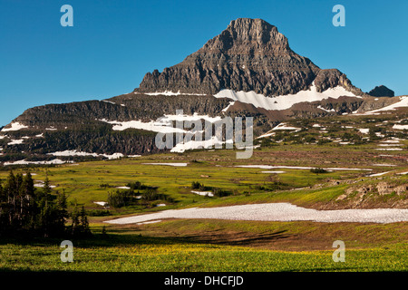 Reynolds Gipfel über Gletscher Lilien am Logan Pass, Glacier National Park, Montana. Stockfoto