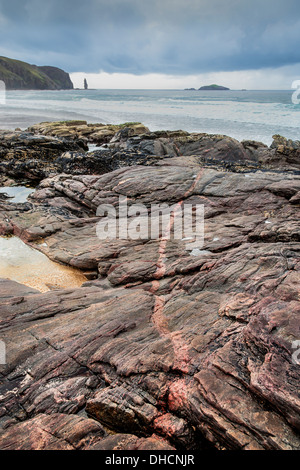 Ader im Fels Sandwood Bay in Sutherland, Schottland Stockfoto