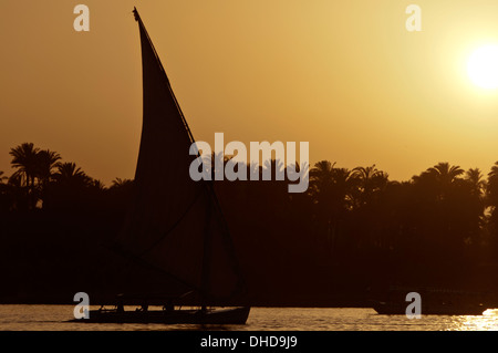 Feluken auf dem Nil Stockfoto