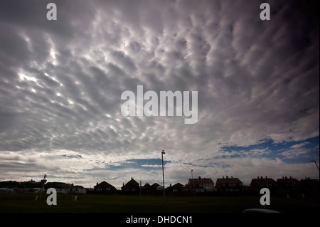 Eine Möwe sitzt auf einem Laternenpfahl vor eine Asperatus Bildung Wolkenbank Stratocumulus Wolken, wie sie über s-Bahn ho Webstuhl Stockfoto