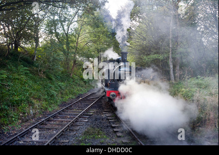 Eine ehemalige Coal Board Tenderlok Dampflok auf die Tanfield Eisenbahn, County Durham, die weltweit älteste Eisenbahn - Pferdekutsche vor Dampf. Stockfoto