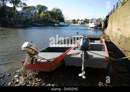 Geerdet Boot / Boote am Strand / Ufer / Bett / Flussbett / bank bei Ebbe "abziehen". Themse, Twickenham. VEREINIGTES KÖNIGREICH. Stockfoto