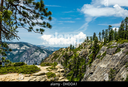 Pinien, Granitfelsen und Thunderlcouds aus Taft Point Trail fotografiert.  Yosemite Nationalpark, Kalifornien. Stockfoto