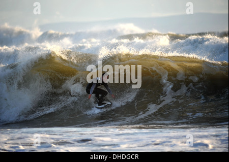 Eine Surfer steckt unter dem Wappen eine goldene Welle nach Hurrikan St Jude auf Gower in Wales, UK. Stockfoto