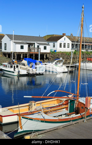 Marina in Port Townsend, Puget Sound, Washington State, Vereinigte Staaten von Amerika, Nordamerika Stockfoto