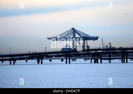 London-Gateway Containerhafen, Essex, England. 7. November 2013. Containerschiff Mol Caledon war die erste offizielle Ankunft spät in der Nacht an die neue London Gateway Deep Water Container Terminal in Essex, England. Es kamen von Kapstadt mit Obst & Wein. Für Rotterdam fahren heute voraussichtlich 7. November um 1500 es anschließend verzögerte und war noch eine Stunde später geladen. Bildnachweis: Timothy Smith/Alamy Live-Nachrichten Stockfoto