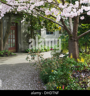 Hiram M. Chittenden Locks und Carl S. English Jr. botanischen Garten; Seattle, Washington, Vereinigte Staaten von Amerika Stockfoto