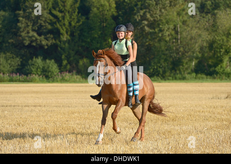 Zwei lachende Mädchen (tragen Helm und Rücken Protektor) zusammen auf eine "irische Sportpferd" in einem Stoppelfeld Trab reiten Stockfoto