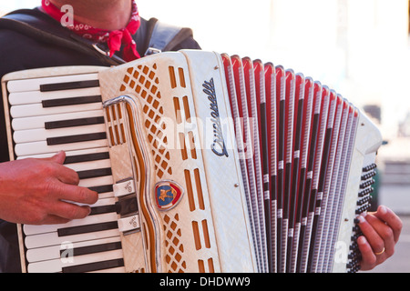 Ein Straßenmusikant spielt das Akkordeon, Lyon, Rhone, Rhône-Alpes, Frankreich Stockfoto