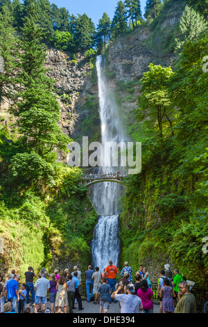 Übersehen Sie, an der Multnomah Falls, Columbia River Gorge, Multnomah County, Oregon, USA Stockfoto