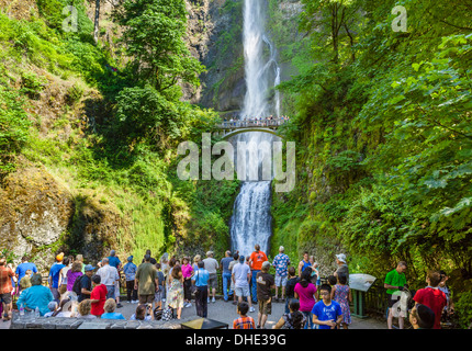 Übersehen Sie, an der Multnomah Falls, Columbia River Gorge, Multnomah County, Oregon, USA Stockfoto