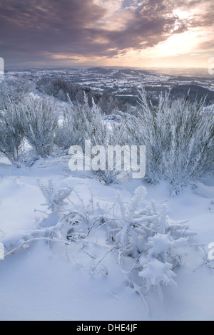 Schneebedeckte Besen auf der Malvern Hills suchen West in Richtung Herefordshire bei Sonnenuntergang. Stockfoto