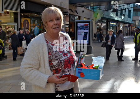 Bristol, UK, 7. November 2013. Die Royal British Legion und Freiwilligen im Cabot Circus Shopping Centre am Bristol Poppy Day aktiv. Bildnachweis: Sophie Merlo/Alamy Live News Stockfoto