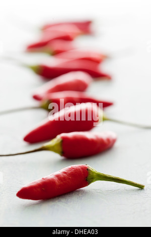 Frische rote Chilischoten auf einer Tischfläche. Stockfoto