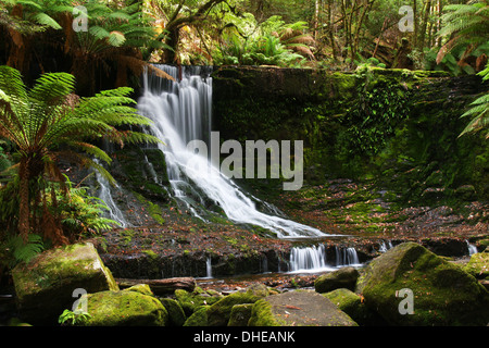 Horseshoe Falls in Mount Field National Park in Tasmanien, Australien Stockfoto