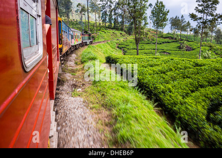 Zugfahrt durch Tee-Plantagen, Hügelland Haputale, Sri Lanka, Nuwara Eliya Distrikt, Sri Lanka, Asien Stockfoto