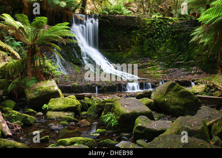 Horseshoe Falls in Mount Field National Park in Tasmanien, Australien Stockfoto