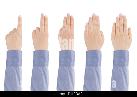 Zarte Frauenhand zeigt mit den Fingern von eins bis fünf auf einem weißen Hintergrund. Stockfoto