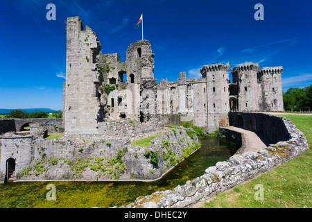 Raglan Castle, Monmouthshire, Wales, Vereinigtes Königreich, Europa Stockfoto