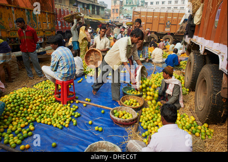 Obstmarkt, Kolkata (Kalkutta), West Bengalen, Indien, Asien Stockfoto