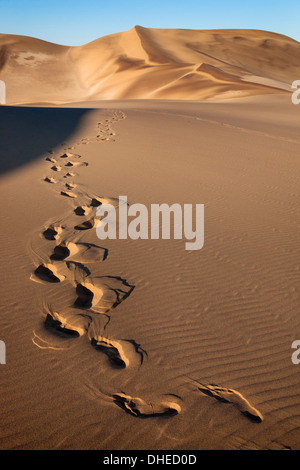 Fußabdrücke auf Sanddünen in der Nähe von Swakopmund, Dorob Nationalpark, Namibia, Afrika