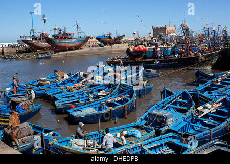 Fischereihafen mit traditionellen Booten vor der alten Festung, Küste Essaouira, Atlantik, Marokko, Nordafrika, Afrika Stockfoto