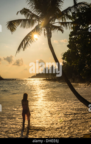 Eine Frau unter einer Palme auf Mirissa Beach bei Sonnenuntergang, South Coast von Sri Lanka, südlichen Provinz, Sri Lanka, Asien Stockfoto