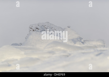 Aufgeblähten Blatt des Eises an einem Fluss Stockfoto