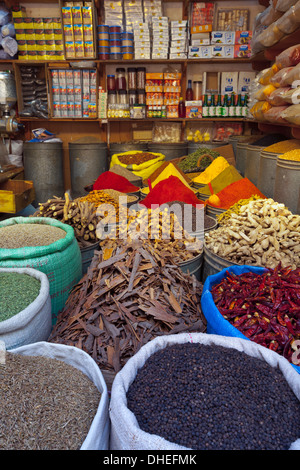 Gewürz Shop, Medina, Fes, Marokko, Nordafrika, Afrika Stockfoto