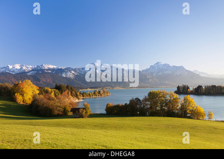 Forggensee See und Allgäu-Alpen, Füssen, Ostallgau, Allgäu, Allgäu-Alpen, Bayern, Deutschland, Europa Stockfoto