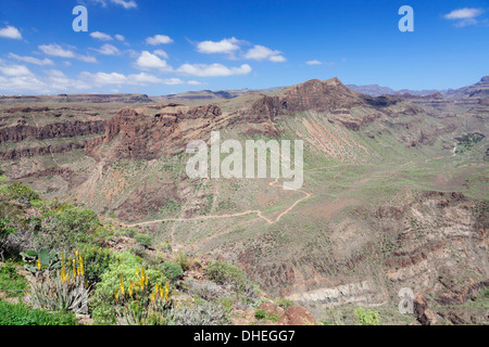 Blick vom Mirador de Fataga bis ins Tal Barranco de Fataga, Gran Canaria, Kanarische Inseln, Spanien, Europa Stockfoto