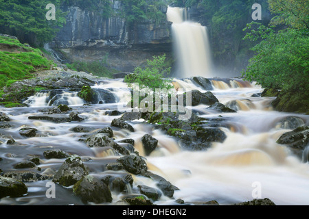 Thornton Kraft, Ingleton Wasserfällen gehen, Yorkshire Dales National Park, North Yorkshire, England, Vereinigtes Königreich, Europa Stockfoto