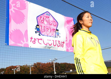 Yuki Ogimi, 8. November 2013 - Fußball: Nadeshiko Freunde Quadrat-Kick-off Event im nationalen Yoyogi Stadium Futsal Gericht, Tokio, Japan. (Foto: AFLO SPORT) [0006] Stockfoto