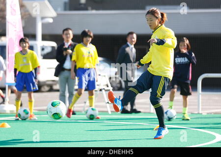 Yuki Ogimi, 8. November 2013 - Fußball: Nadeshiko Freunde Quadrat-Kick-off Event im nationalen Yoyogi Stadium Futsal Gericht, Tokio, Japan. (Foto: AFLO SPORT) [0006] Stockfoto