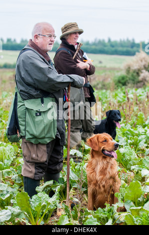 Jagdhunde und Handler oder Besitzer, warten auf einen Jagdhund-Trainingstag Stockfoto