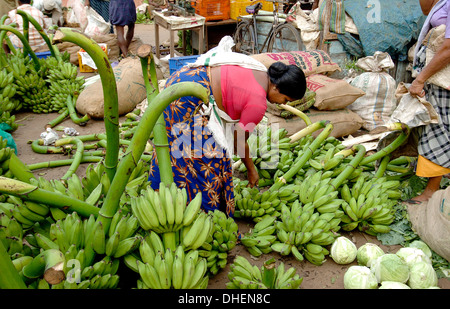 Gemüsemarkt, Chalai, Trivandrum, Kerala, Indien, Asien Stockfoto