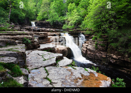 Kisdon Force auf die Fluß Senke in der Nähe von Keld, Swaledale, Yorkshire Dales, Yorkshire, England, Vereinigtes Königreich, Europa Stockfoto