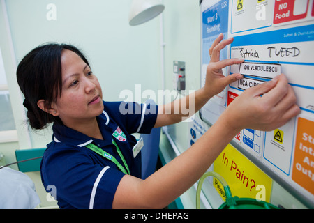Eine philippinische Krankenschwester ändert sich die Patienten Details über ein Bett von NHS UK Stockfoto