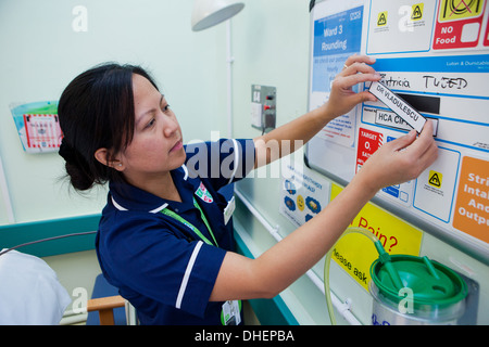 Eine philippinische Krankenschwester ändert sich die Patienten Details über ein Bett von NHS UK Stockfoto