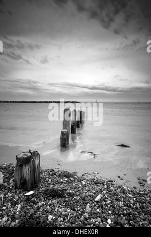 Schwarz und weiß von post Groyns in Elmer Strand, West Sussex, UK Stockfoto