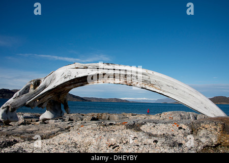 Kanada, Nunavut, Qikiqtaaluk Region, Cumberland Sound, Kekerten Insel. Bowhead Whale Kieferknochen. Stockfoto