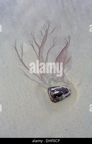 Muster in den Sand am Strand von Achnahaird zeigt ausgesetzt Torridonian Sandstein Stockfoto