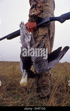 Ein Jäger mit einer blauen Phase Schneegans (Chen Caerulescens) während der Jagd Gänse an Port Lavaca Texas Stockfoto