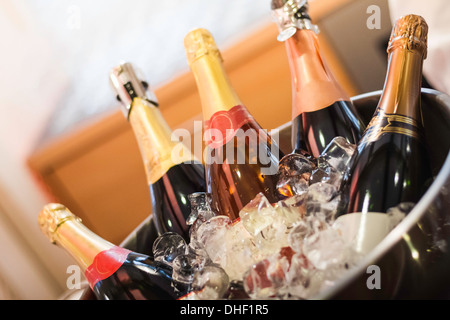 Champagnerflaschen in Wein Eimer Stockfoto