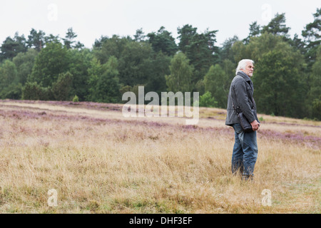 Ältere Mann in Wiese Stockfoto