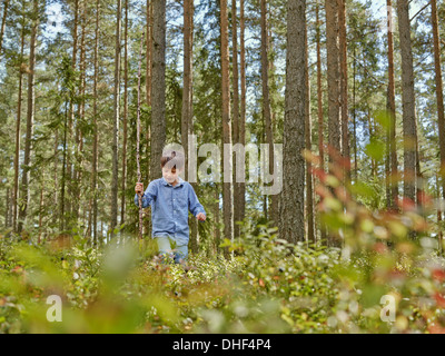 Junge zu Fuß durch Wald mit stick Stockfoto