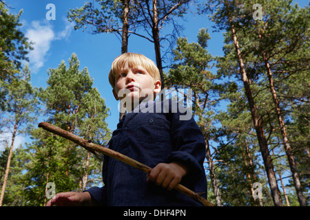 Junge im Wald hält Stock Stand Stockfoto