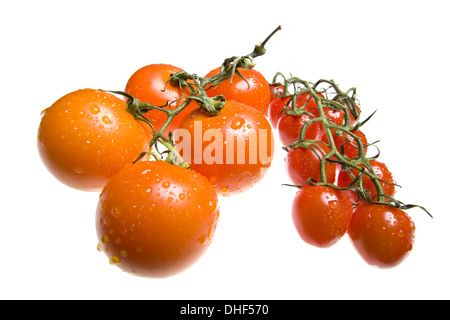 Rote Tomaten in Wassertropfen Stockfoto