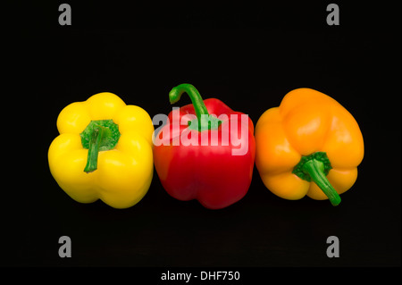 3 Paprika Stockfoto